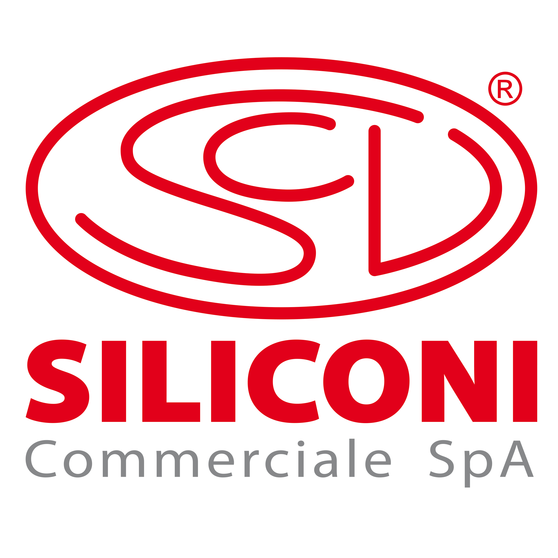 Quita silicona VIASIL - Siliconi Commerciale SpA